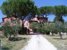 Ferme &agrave; vendre: FAUGLIA (PI)