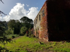 Maison de campagne &agrave; vendre: ROMA (RM)